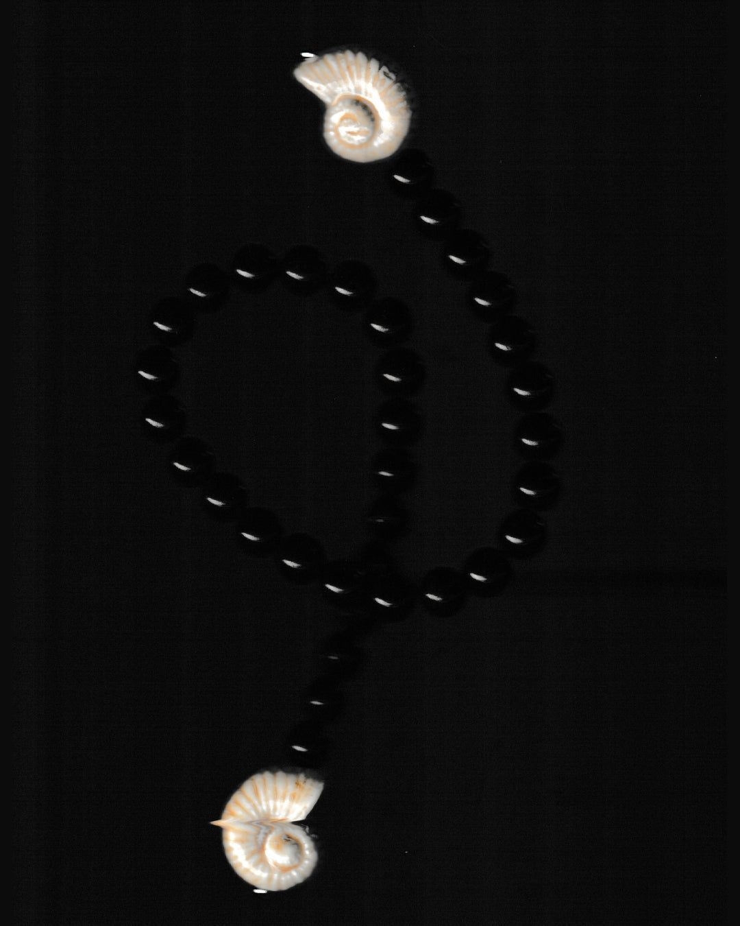 The Concha Shell Bag Charm - Midnight