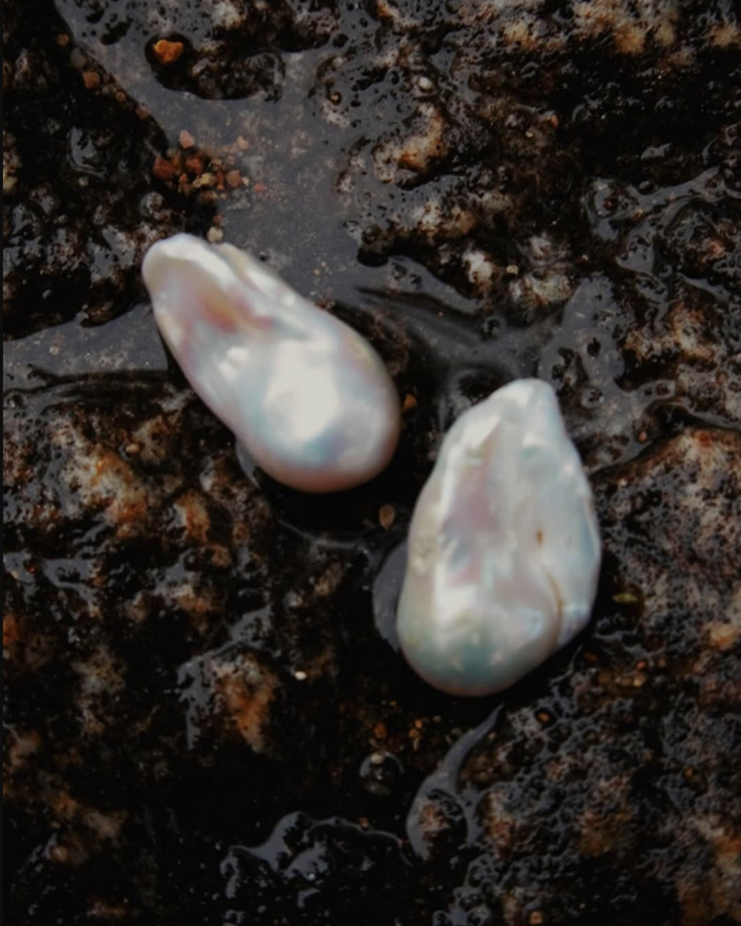 The Ostréa Freshwater Pearl Studs